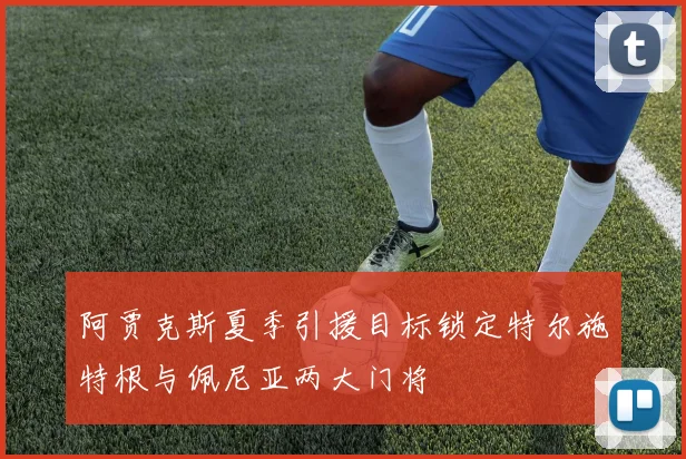 阿贾克斯夏季引援目标锁定特尔施特根与佩尼亚两大门将