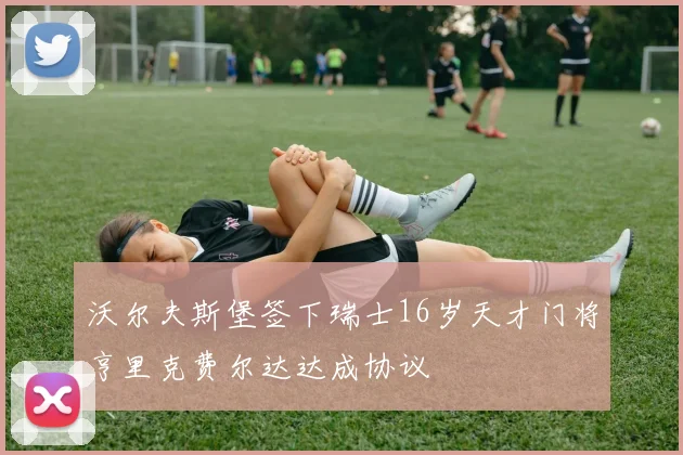 沃尔夫斯堡签下瑞士16岁天才门将亨里克费尔达达成协议
