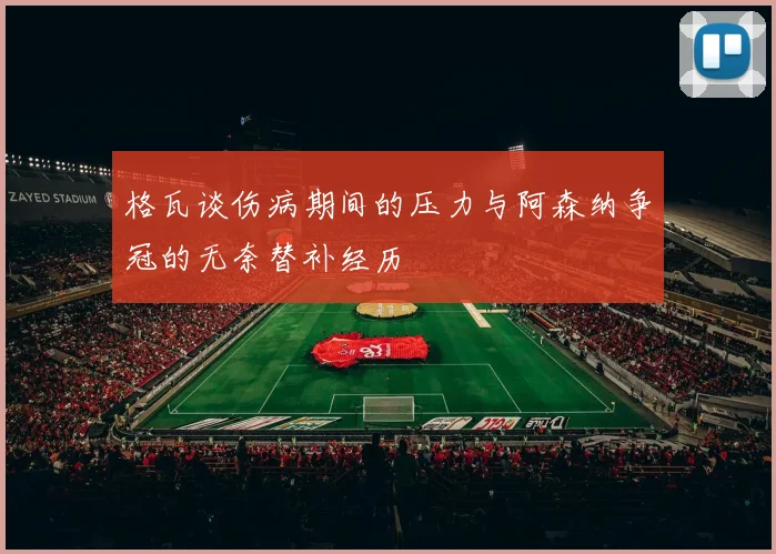 格瓦谈伤病期间的压力与阿森纳争冠的无奈替补经历